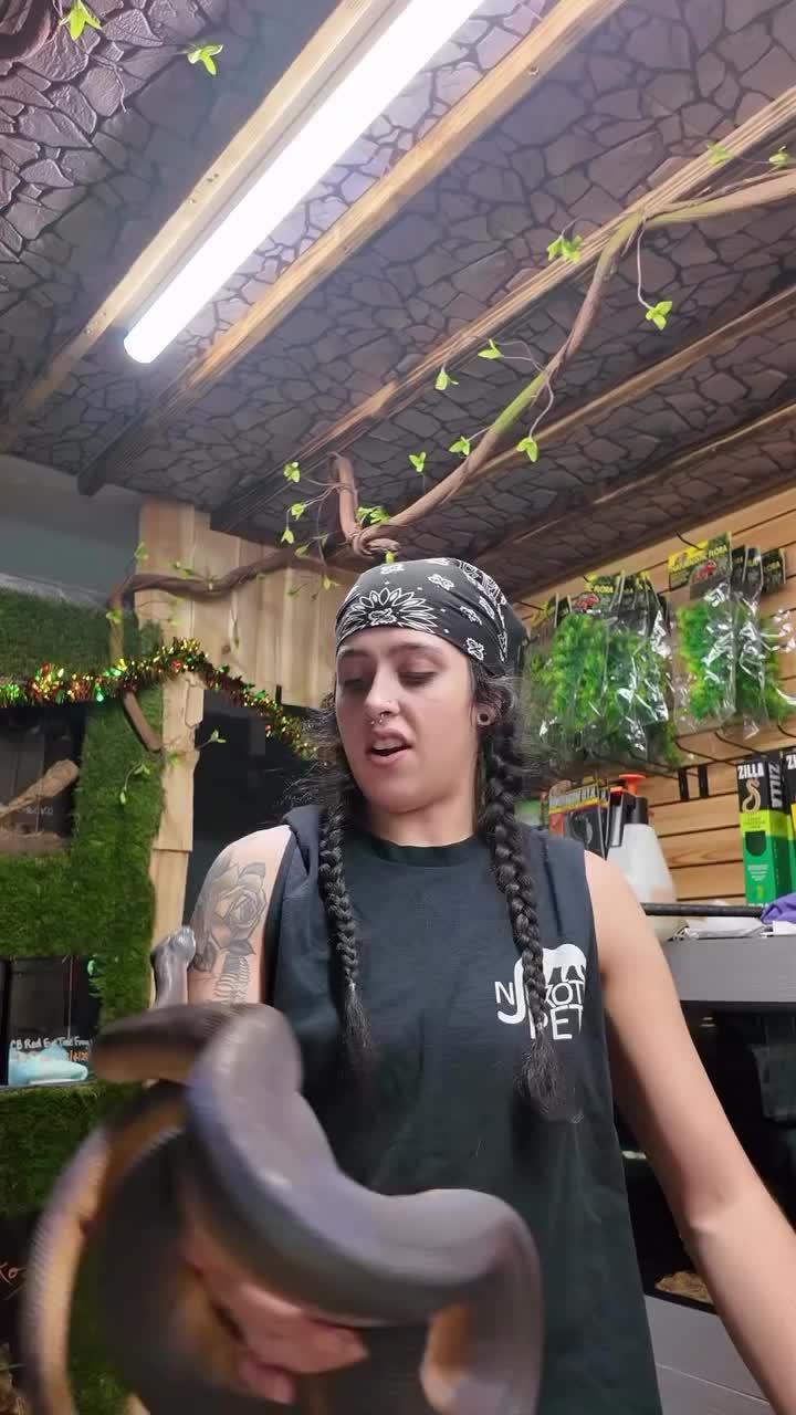 Video post from njexoticpets.