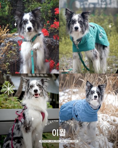 Photo post from hurttakorea.