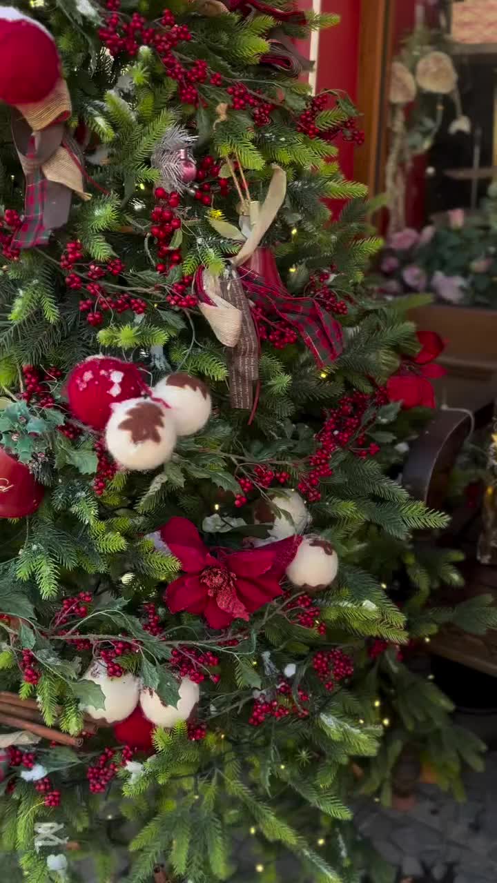 Video post from nydreamer7.