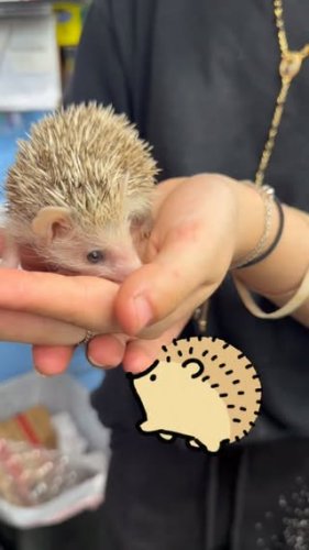 Video post from njexoticpets.