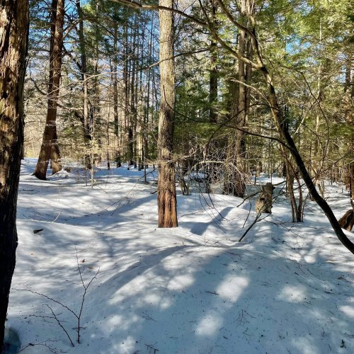 Photo post from nsbutterflygardens.