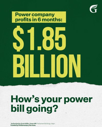 Photo post from nzgreenparty.