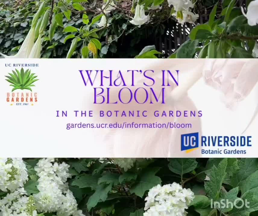 Video post from ucrbotanicgardens.