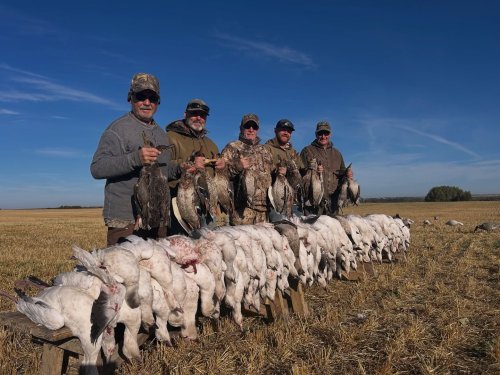 Photo post from northernskiesoutfitters.