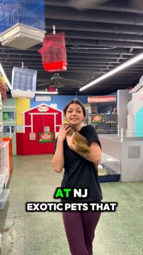 Video post from njexoticpets.