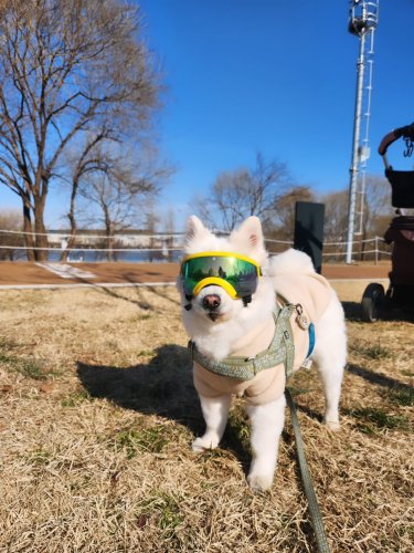 Carousel post from gguggu_gguggu.