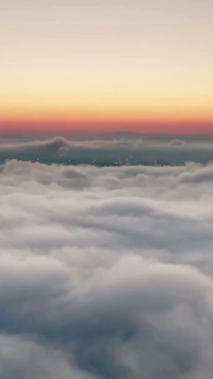 Video post from reomaori.