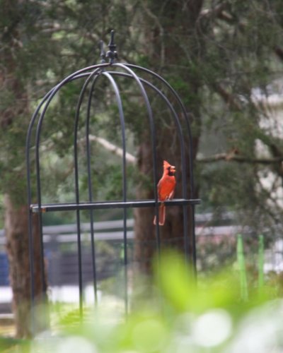 Photo post from mireade2025.