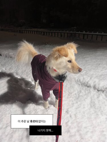 Carousel post from hurttakorea.