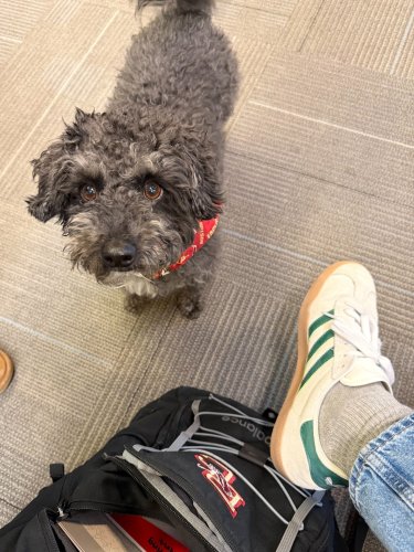 Photo post from bostoncollege.