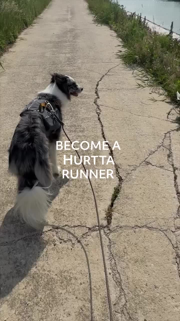 Video post from hurttakorea.