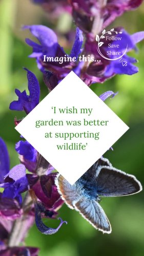 Video post from discovering_gardens.