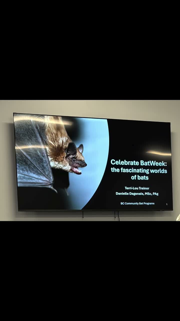 Video post from community_of_langley_.