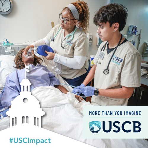 Photo post from uscbeaufort.