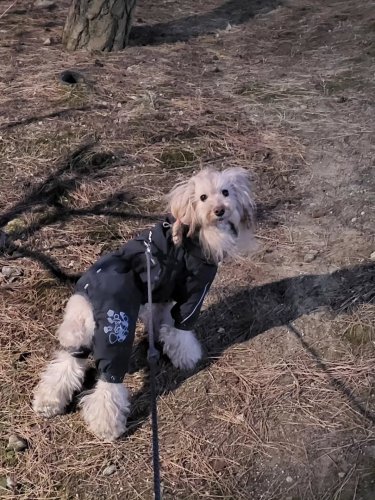 Carousel post from bon_bon_718.