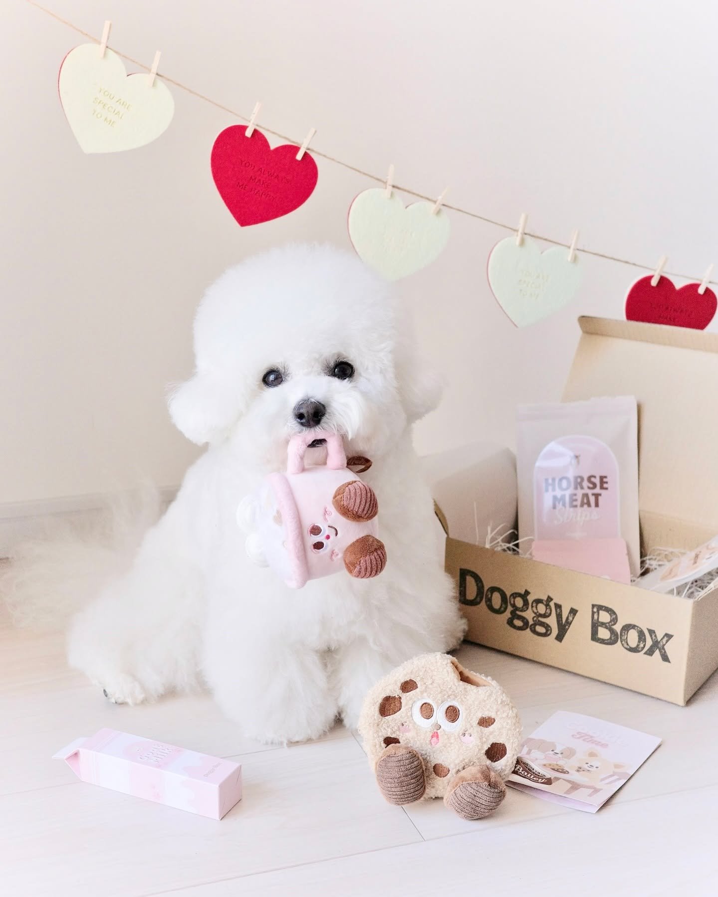 Doggy Box | 毎月サプライズいっぱいのBOXをお届け