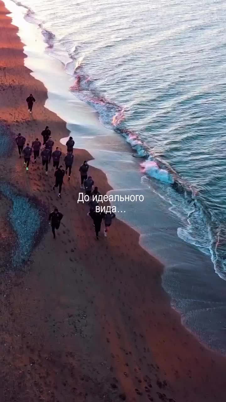 Video post from torpedolife.