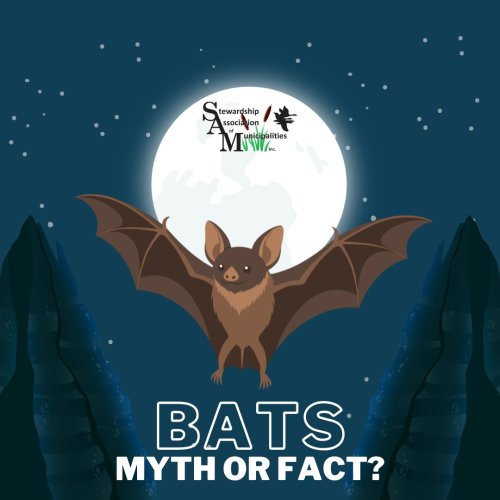 Photo post from sam_stewardship.