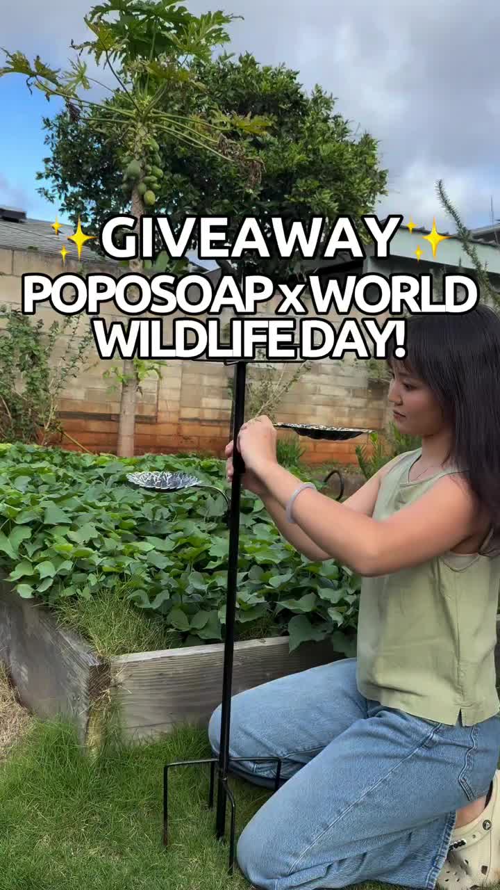 Video post from louuwert.