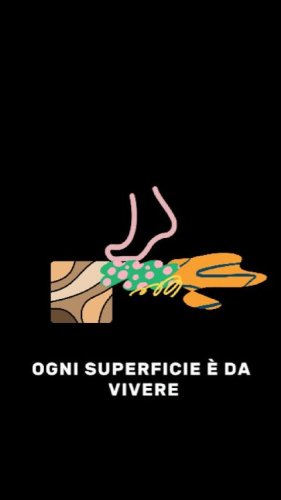 Video post from lineaceramicasarcedo.