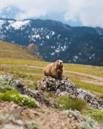 Photo post from theresortatportludlow.