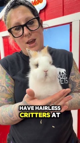 Video post from njexoticpets.