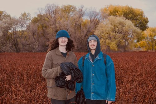 Photo post from mellow.toad.