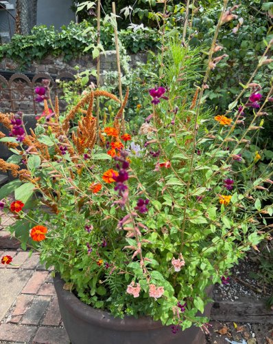 Photo post from gardenhousebrighton.