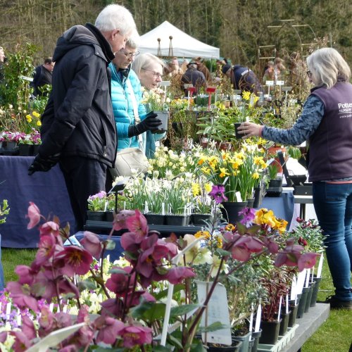 Carousel post from bramleynewspaper.