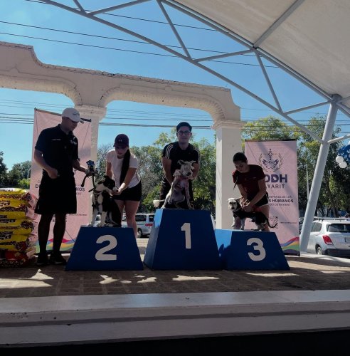 Carousel post from uan.oficial.