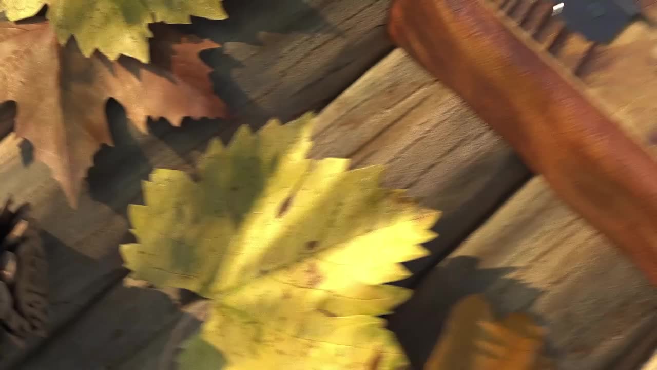 Video post from pakfightspolio.