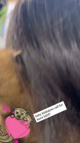 Video post from njexoticpets.