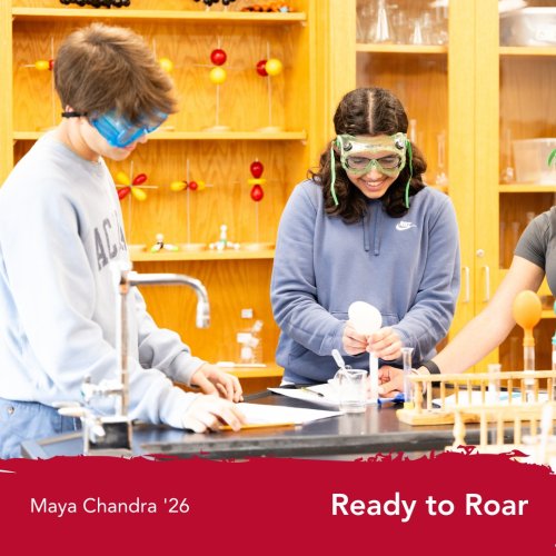 Photo post from saeslions.