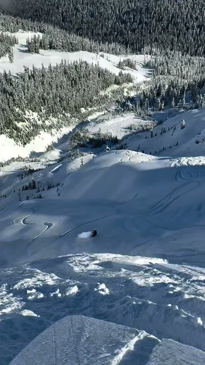 Video post from gnusnowboards.