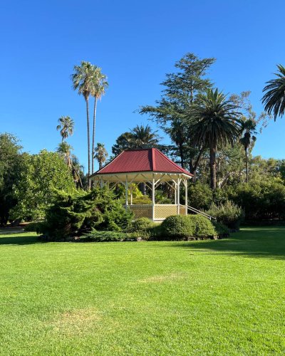 Photo post from alburycity.