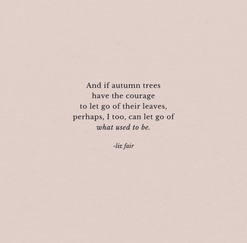 Photo post from thescentedmermaid.