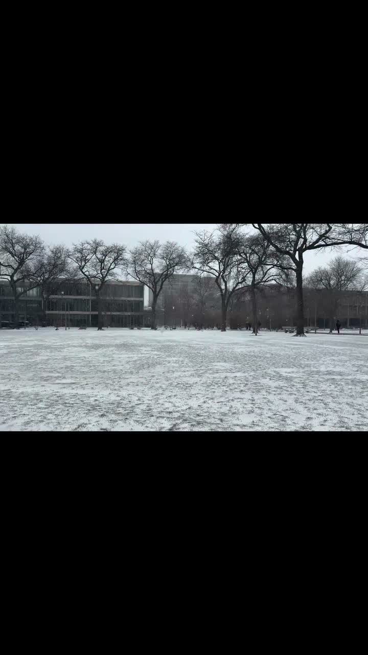 Video post from ao.chicago.