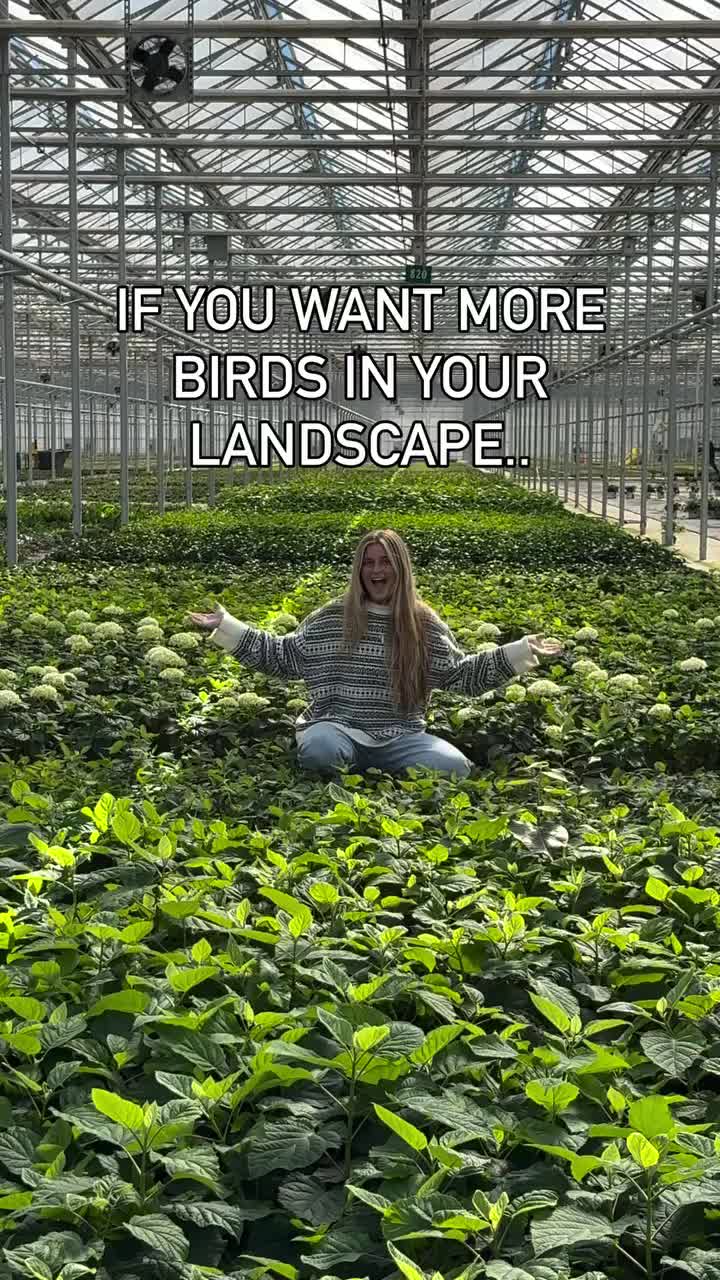 Video post from greatgardenplants.