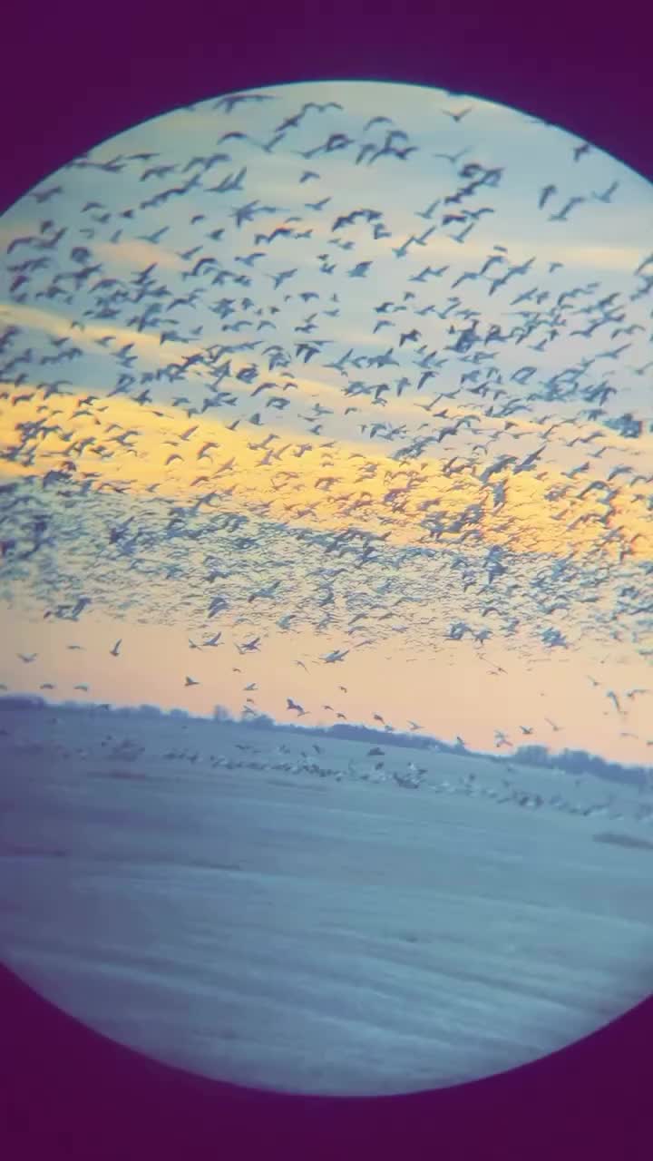 Video post from northernskiesoutfitters.
