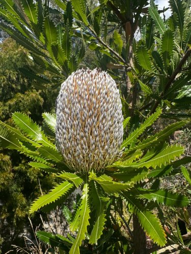 Photo post from lisa_cawthen.