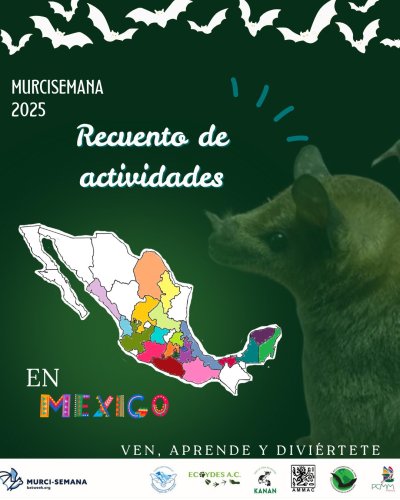 Carousel post from murcisemana_oficial.