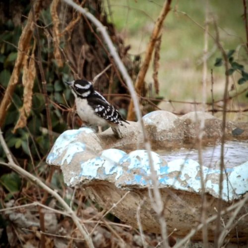 Carousel post from thebeeandbee042608.