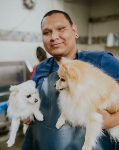 Photo post from medicalpettj.