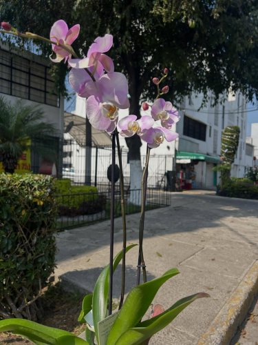 Photo post from la_gifteria.