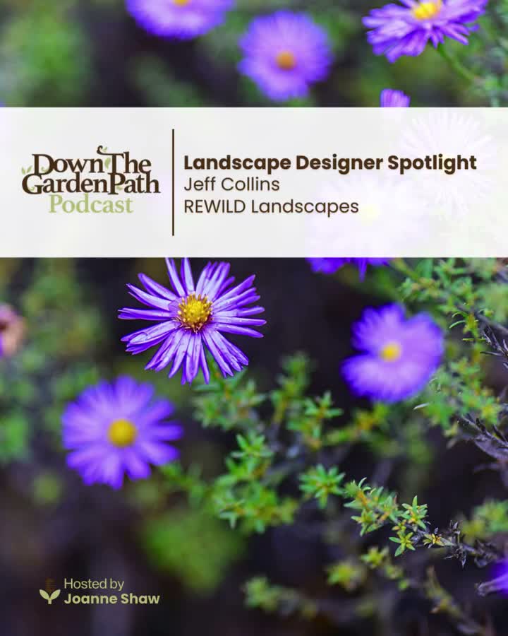 Video post from down2earth_official.