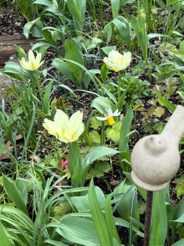 Photo post from gardenhousebrighton.