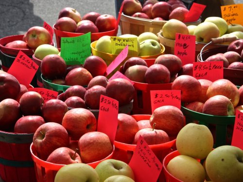 Carousel post from indianadunes.