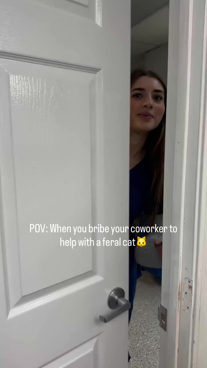 Video post from familyanimalhospitalcm.