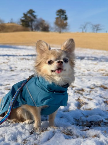 Carousel post from dino._.dary.