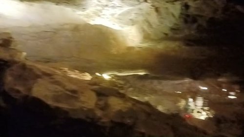 Video post from cumberlandcaverns.